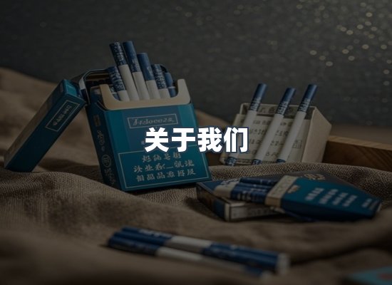 关于我们